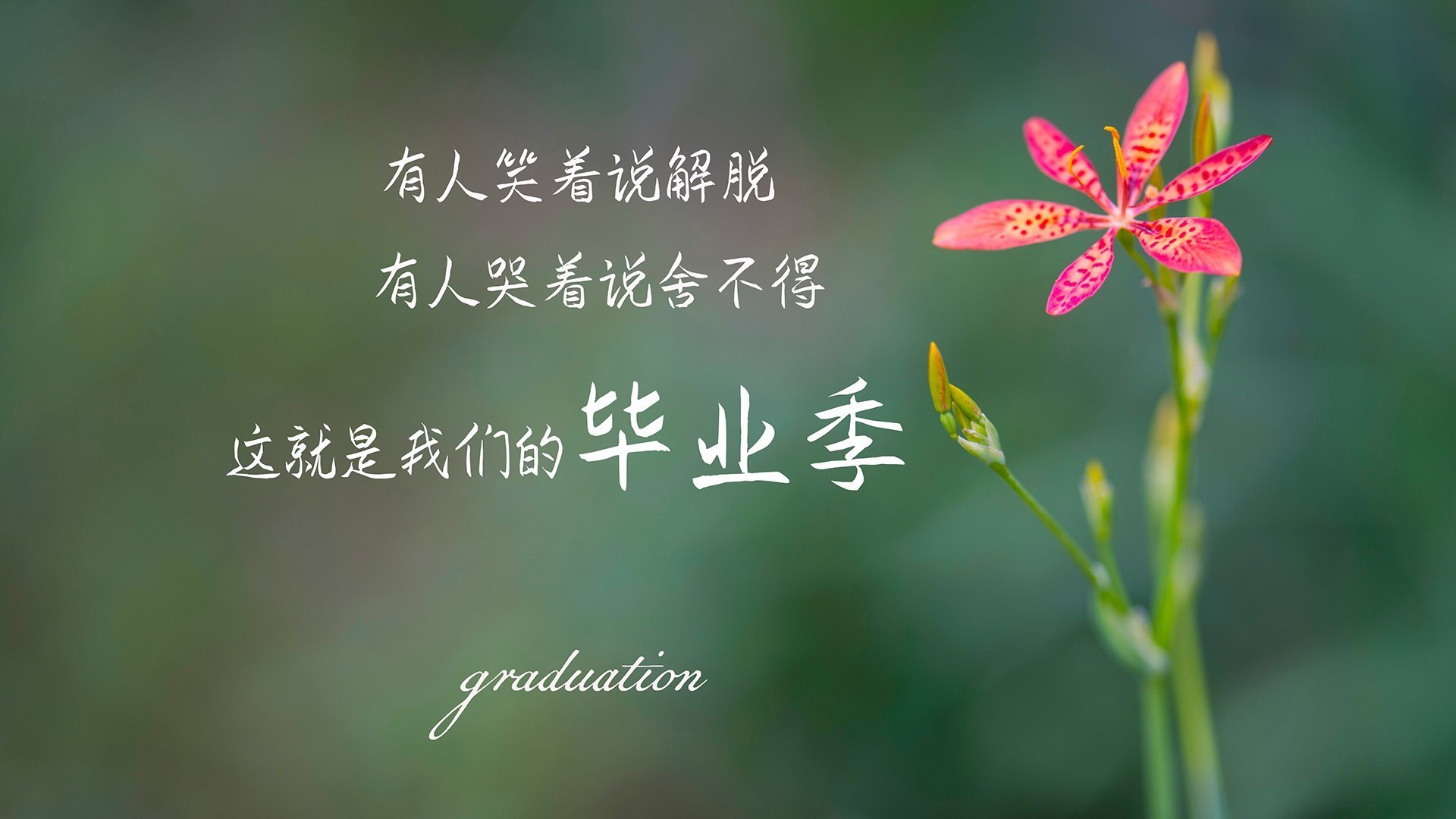 西甲球员进攻效率与防守压力关系的动态分析，西甲球员进攻效率与防守压力关系的动态分析