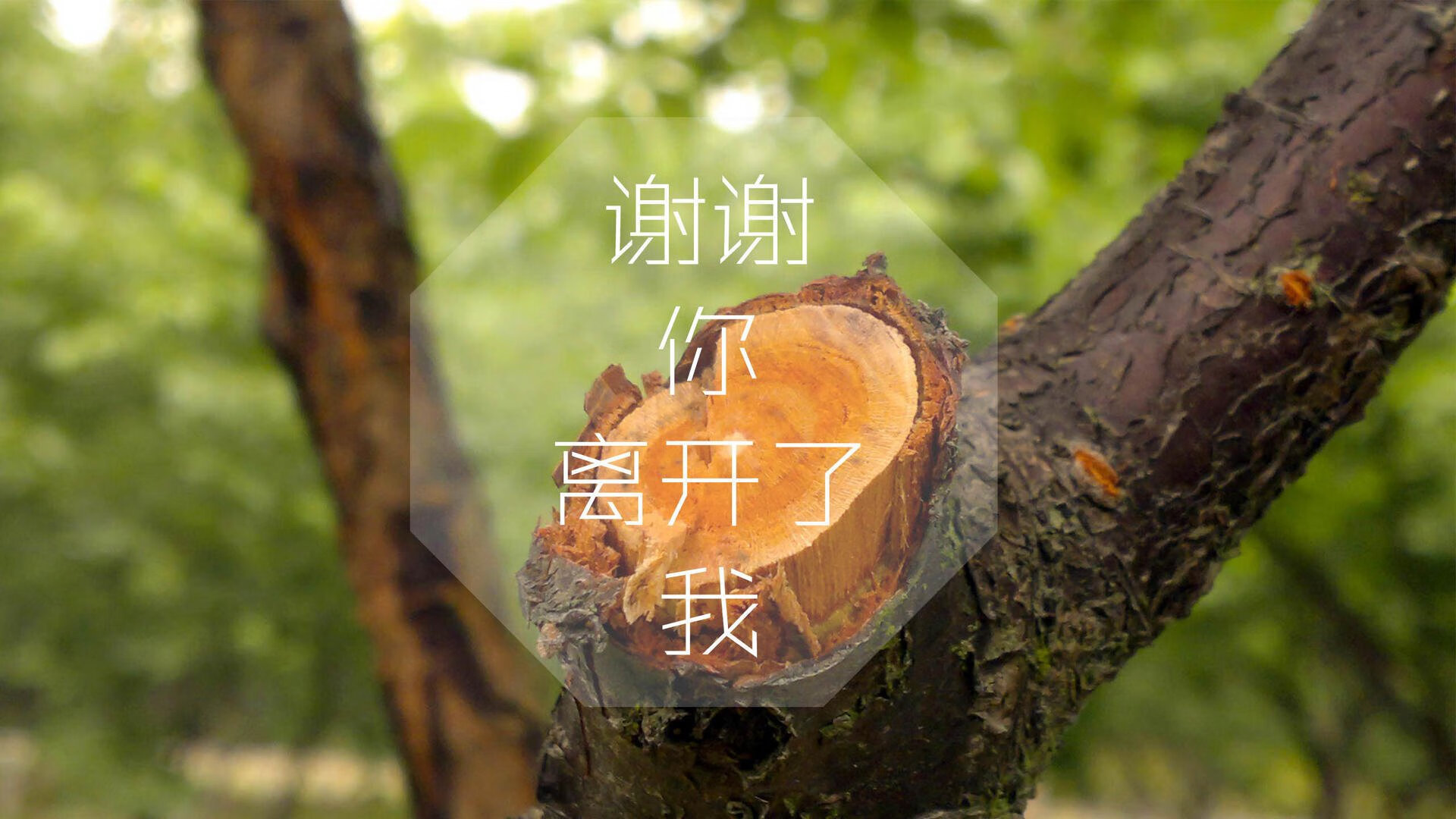 仰泳项目德国女将屡创个人最佳，女子仰泳冠军