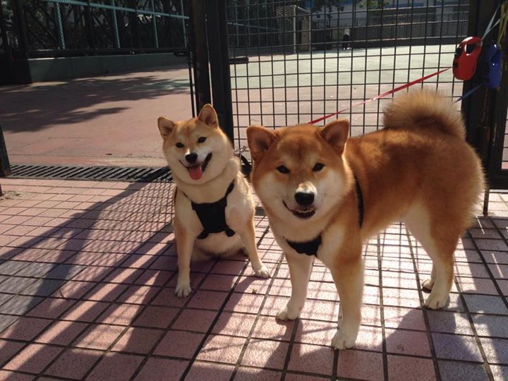 fb体育投注-覃海洋精准转身成夺冠关键，覃海洋照片