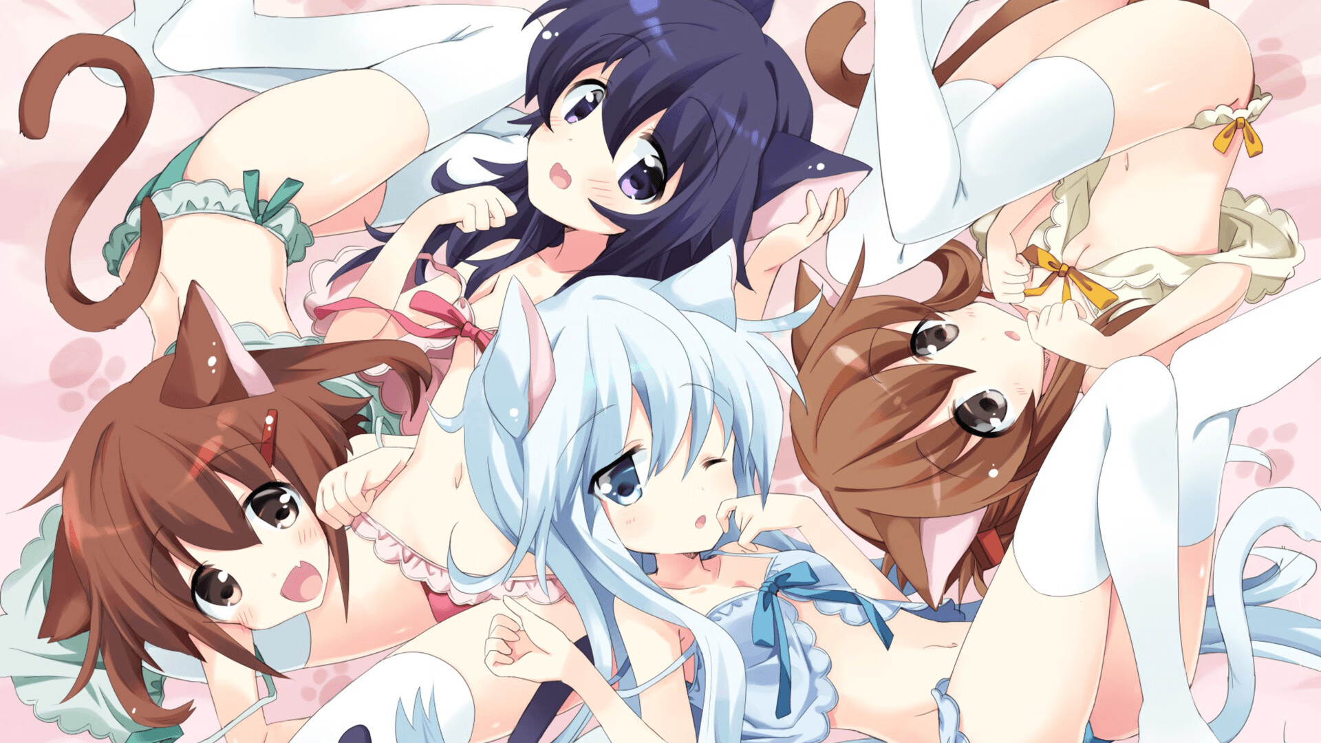 fb体育官网首页-贾瓦迪奋力冲刺 800自决赛尽显韧性，ht贾瓦人